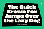 Knots Strong Bold Sans, a Sans Serif Font by Modikstype (Thumbnail 6 of 9)