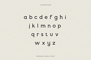 Romara | Elegant & Modern Serif Font, a Font by Wild Theory (Thumbnail 16 of 16)