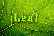 Outla Font, a Font by Actual Pixel (Thumbnail 6 of 7)