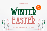 Winter Easter Font, a Handwritten Font by brahamb_design (Thumbnail 1 of 6)