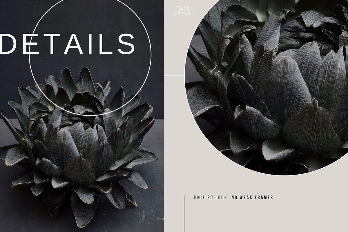 Dark Floral & Mineral Stock Photos, a Nature Photo by Tale.Haus (Photo 15 of 17)