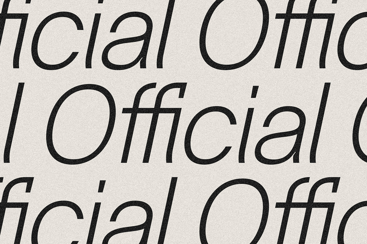 Silver Archer - An 18-Font Chic Sans, a Sans Serif Font by SilverStag Type Foundry (Photo 14 of 14)
