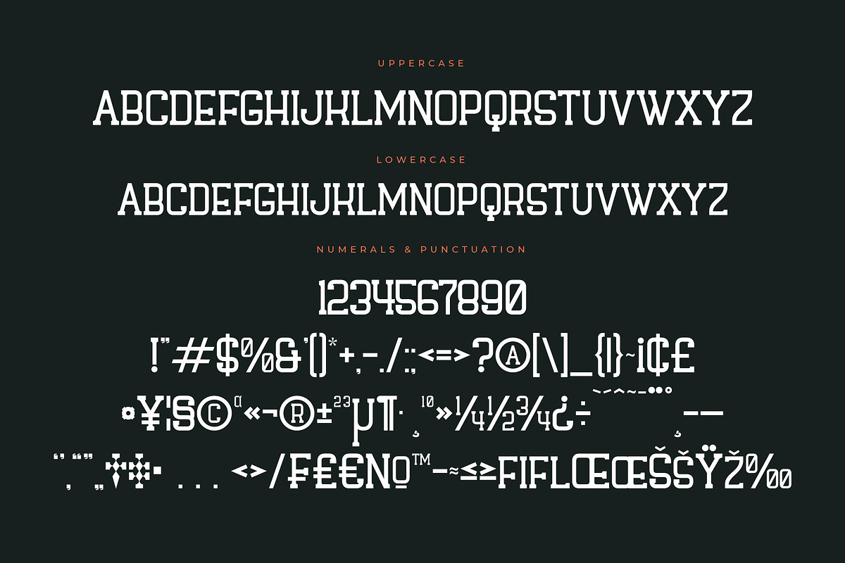 Hagofen Display Slab Serif, a Slab Serif Font by Letterena Studios (Photo 13 of 15)