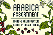 Arabica Assortment, a Food Illustration by melissadn (Thumbnail 1 of 5)