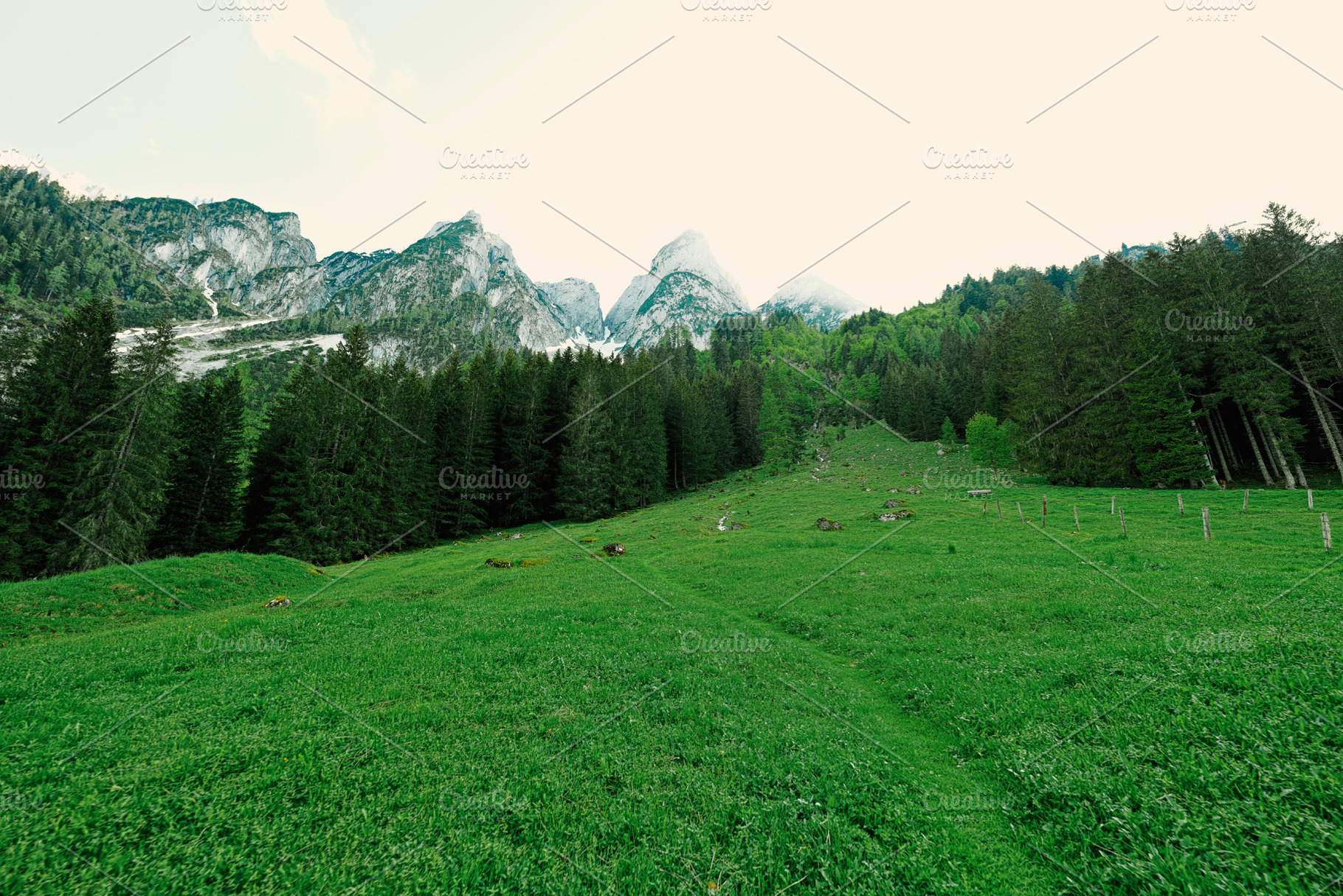 Mountain clean water source at Vorderer Gosausee, Gosau, Upper A, a Background Photo by AS photostudio