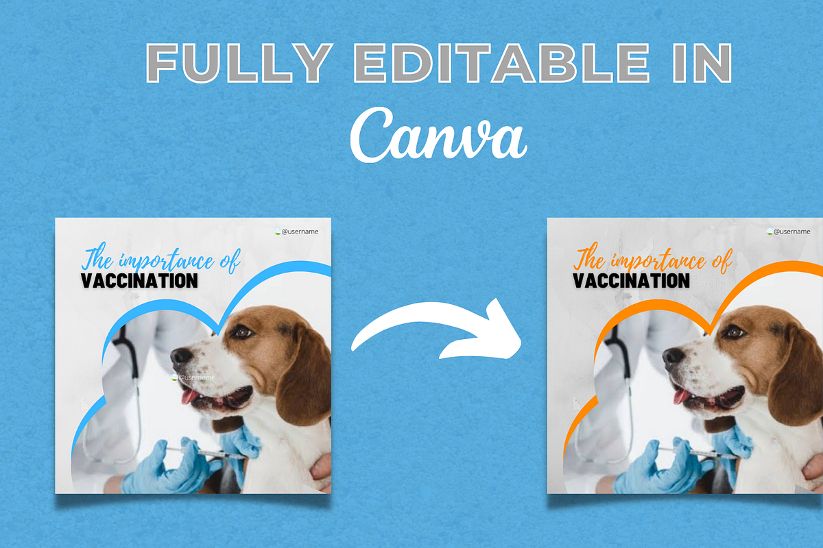 Veterinary Canva Templates Bundle, a Social Media Template by Canvagator (Photo 3 of 3)