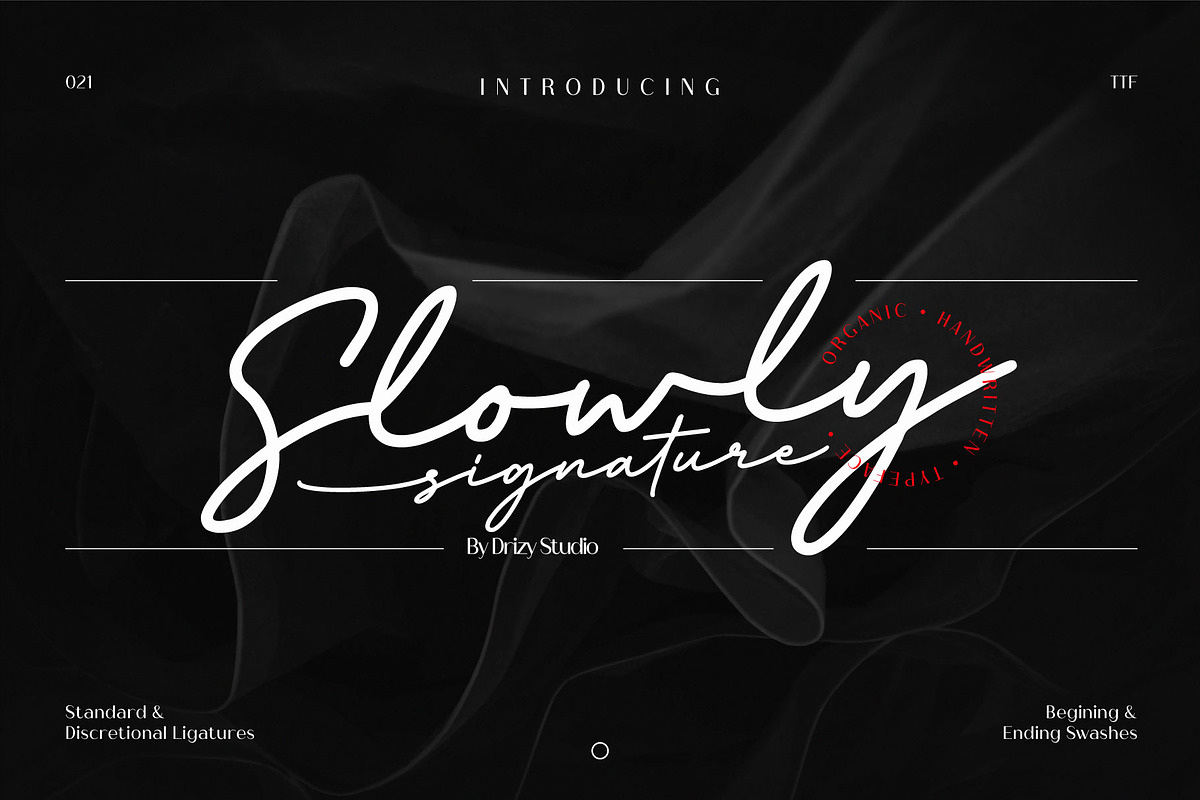 Slowly Signature, a Script Font by Drizy (Photo 1 of 8)