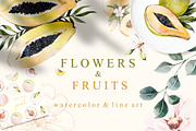 FLOWERS & FRUITS, a Person Illustration by Natalia Tugova (Thumbnail 1 of 12)