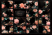 Camellia Charm, a Background Graphic by MONO KEY STUDIO (Thumbnail 8 of 8)