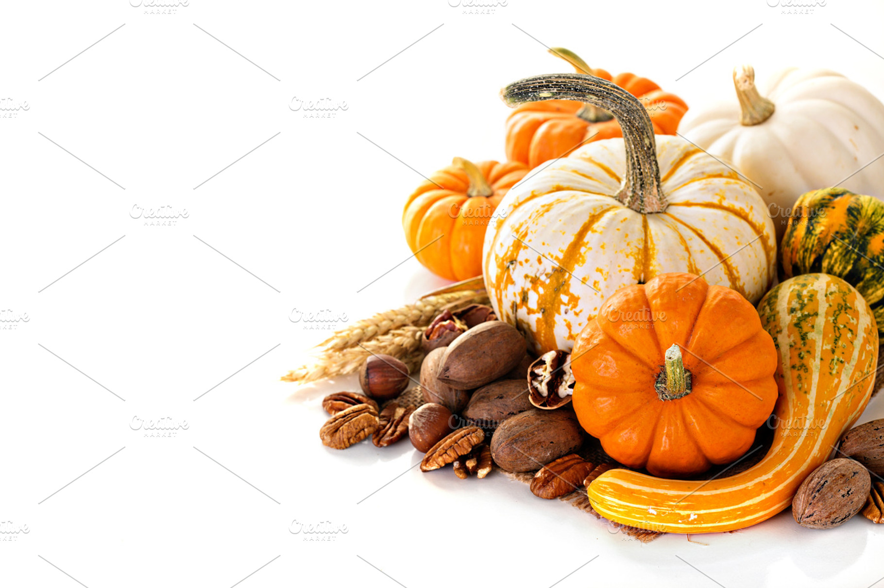 Fall copyspace with decorative pumpkins containing fall, isolated, and white, a Food & Drink Photo by farwasser