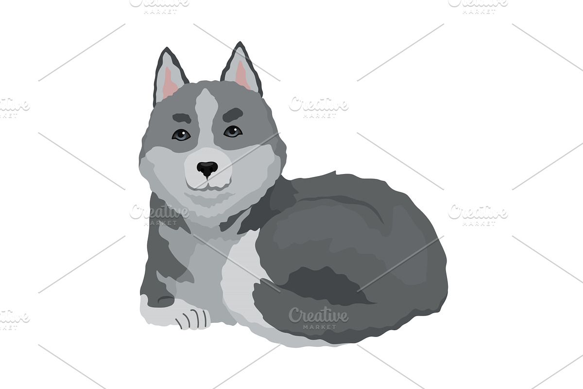 Cute gray wolf pose. Cartoon, an Animal Illustration by the8monkey
