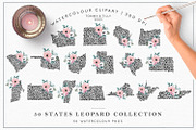Bestsellers Graphics Bundle, an Animal Illustration by Tommy & Tilly Design (Thumbnail 8 of 21)