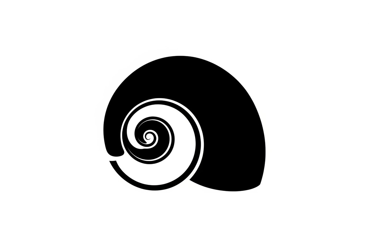 Shell Silhouette Vector Bundle, an Illustration by hafijul (Photo 42 of 48)