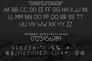 Cinnamon, a Sans Serif Font by InermediaSTUDIO (Thumbnail 2 of 8)