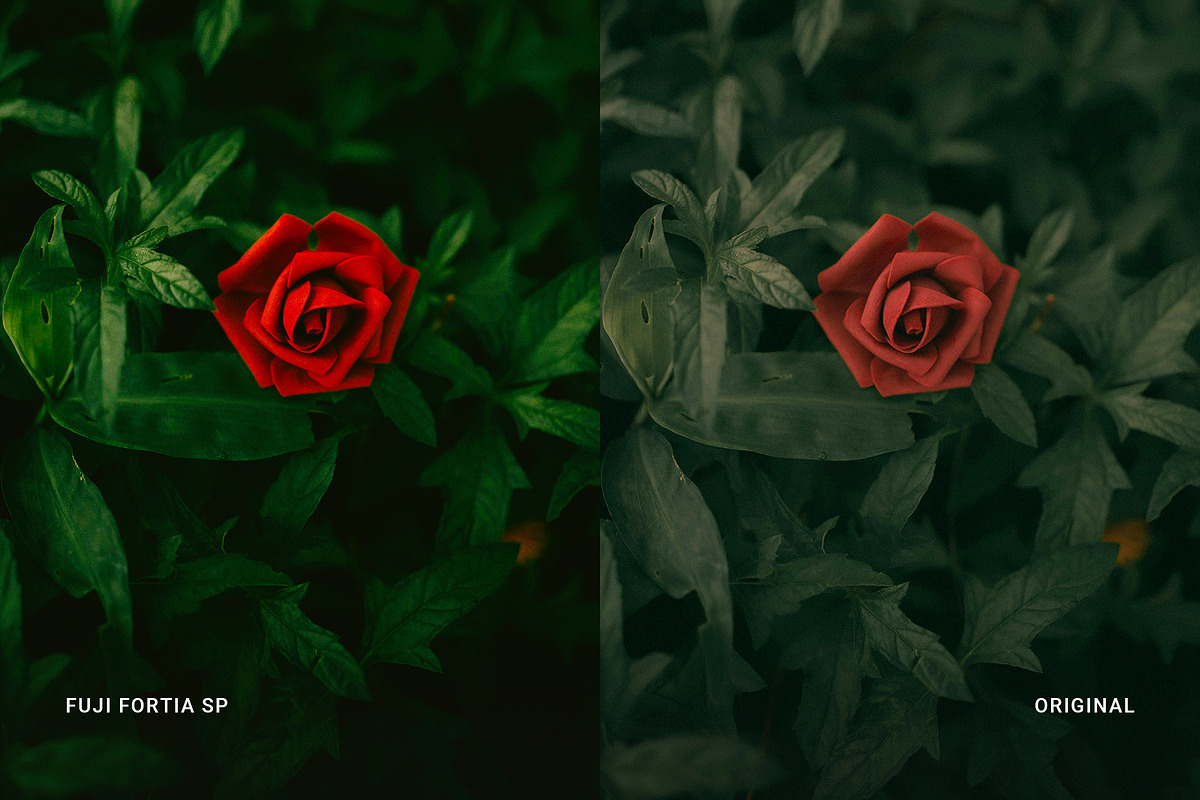 Fuji Fortia SP, a Preset Add-On by colorituals (Photo 3 of 8)