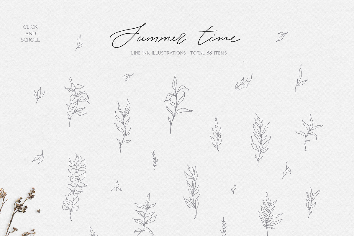 Summer botanical line art, a Decorative Illustration by Summer Nightingale Art (Photo 6 of 12)