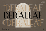 Enphera, a Serif Font by Aluyeah Studio (Thumbnail 5 of 15)