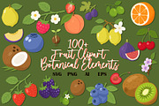 Fruit Clipart Bundle, an Object Graphic by OREHOVKA (Thumbnail 1 of 7)