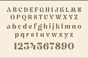 Mellow Spirit - Modern Retro, a Serif Font by Annivers Type (Thumbnail 9 of 10)