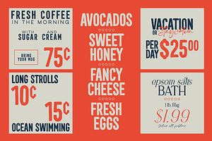 SALE! Retro Dream Family - 29 Fonts