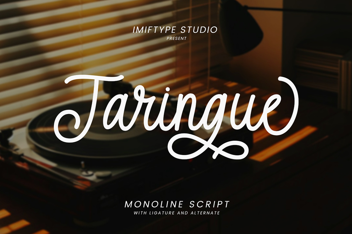 Taringue – Monoline Script Font, a Script Font by Imiftype Studio (Photo 1 of 10)