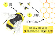 Watercolor bees, an Illustration by Olga Bonitas (Thumbnail 2 of 7)