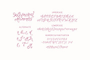 Whimsical Memories - Handmade Font, a Handwritten Font by ErgibiStudio (Thumbnail 10 of 10)