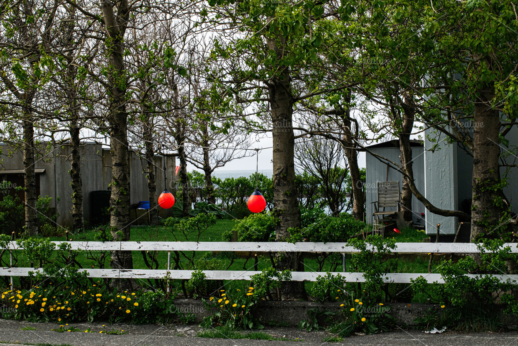 Red buoys hanging among trees in Akranes, Iceland's scenic suburban landscape, a Photo by AS photostudio