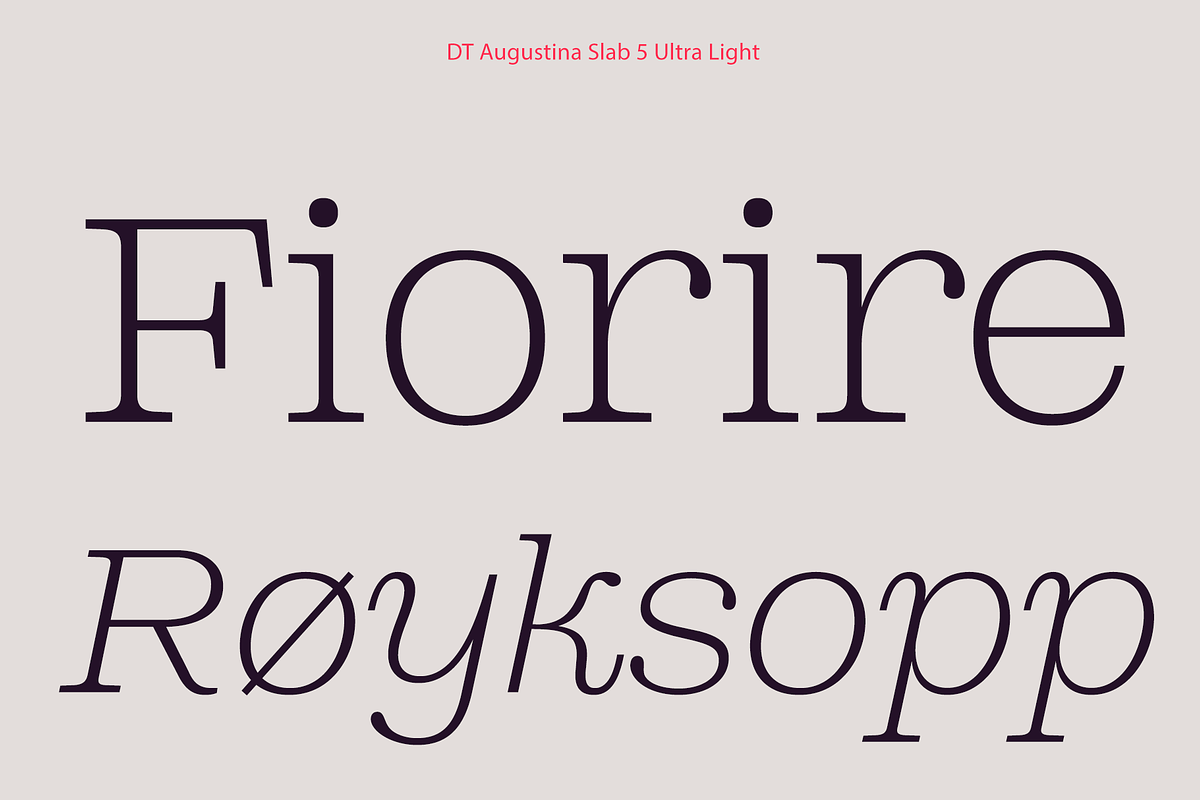 DT Augustina Slab 5 Subfamily, a Slab Serif Font by Deveze Type Foundry (Photo 3 of 31)