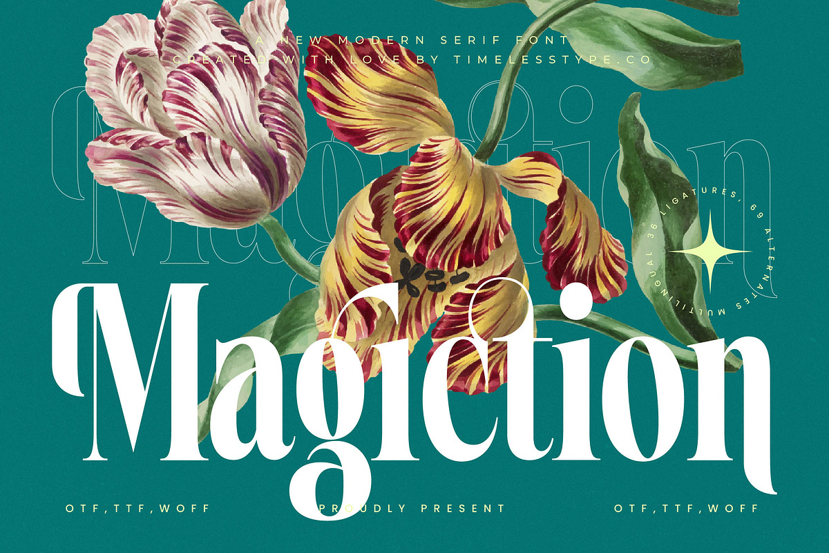 Magiction Modern Serif Display, a Serif Font by timelesstype.co (Photo 1 of 20)