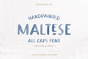 Maltese SVG Watercolor Font, a Handwritten Font by The Paper Town (Thumbnail 1 of 16)