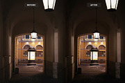 Black Wood Lightroom Presets, a Preset Add-On by Brand Earth (Thumbnail 4 of 4)