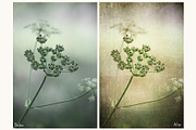 Fine Art Texture 5, a Layer Style Add-On by HappyNews (Thumbnail 7 of 9)