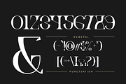 Ronel Luxury - Modern Logo Font, a Serif Font by Illushvara Design (Thumbnail 7 of 14)