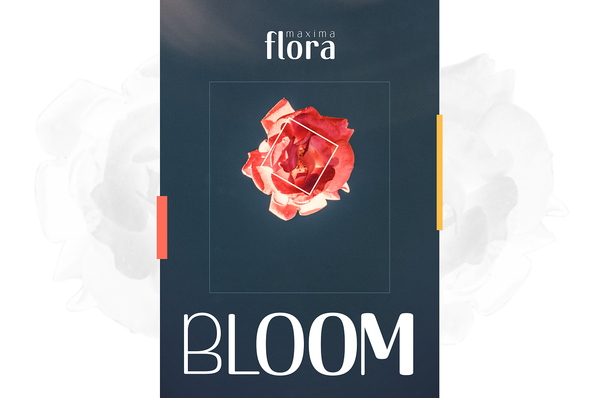 Gojet ~font family, a Sans Serif Font by 611 Studio (Photo 3 of 8)