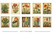 Vintage Garden Packets, a Seasonal Illustration by karenfoleyphoto (Thumbnail 7 of 15)