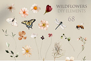 Wildflowers Watercolor Collection, a Decorative Illustration by Les Frolova (Thumbnail 11 of 12)