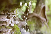 5 Forest Themed Hipster Icons, a Graphic by Typeset Design (Thumbnail 2 of 4)
