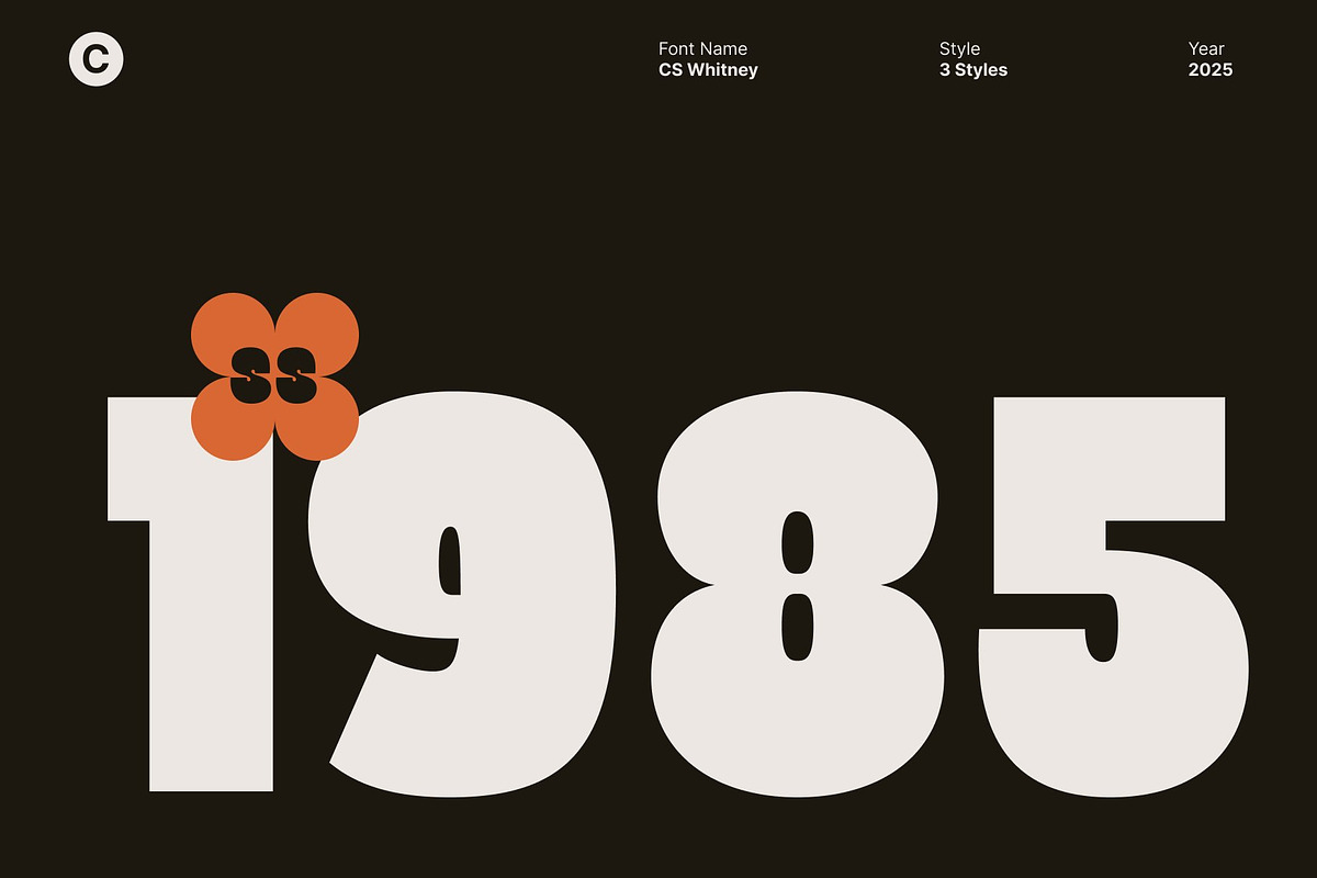 CS Whitney – Chunky Display Font, a Sans Serif Font by Craft Supply Co. (Photo 6 of 8)