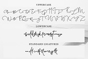 Pattersonville Script Font, a Script Font by Creativeqube Design (Thumbnail 22 of 26)