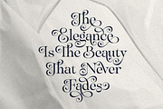 Sparky Dream - Curly Stylish Serif, a Serif Font by Letterhend Studio (Thumbnail 11 of 11)