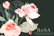 RoSA - Floral Clipart, an Illustration by The Autumn Rabbit Ltd (Thumbnail 11 of 14)