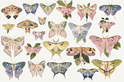 70 Watercolor Luna Moth Clipart, an Animal Illustration by Digital Museum (Thumbnail 5 of 7)