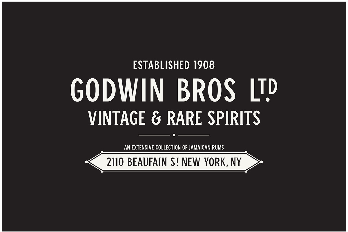 Winston Typeface, a Serif Font by Bebop Font Foundry (Photo 3 of 5)