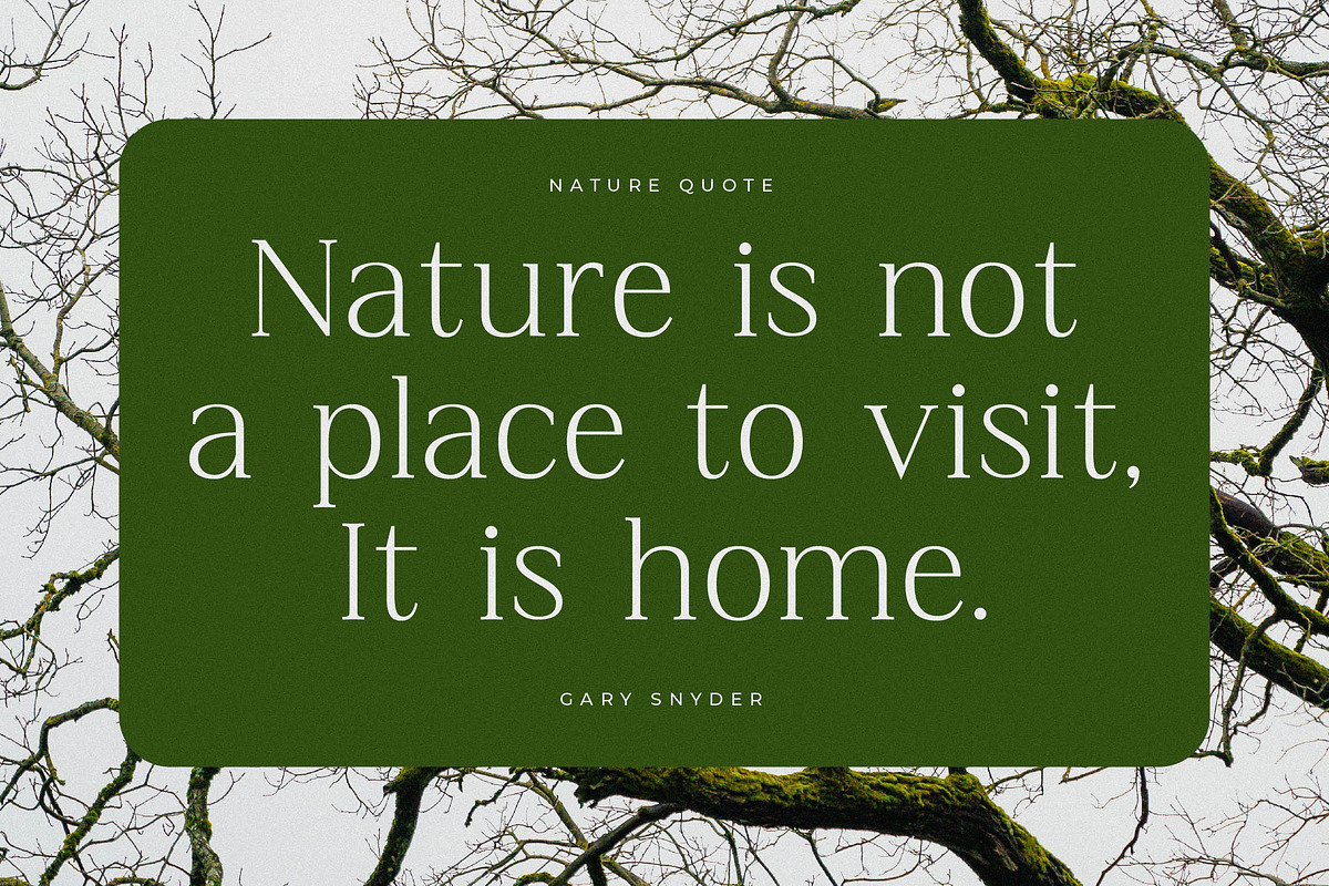 Blacindy Modern Serif Font, a Serif Font by Letterena Studios (Photo 9 of 15)