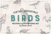 Birds Engravings Set, an Object Graphic by Graphic Goods (Thumbnail 1 of 6)