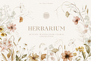 Autumn Wildflower Watercolor Floral, a Decorative Illustration by Veris Studio (Thumbnail 1 of 15)