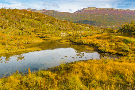 Lapataia river, tierra del fuego, argentina, a Nature Photo by DanFLCreativo