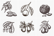 Hand drawn vector plants, a Food Illustration by SHom (Thumbnail 5 of 17)