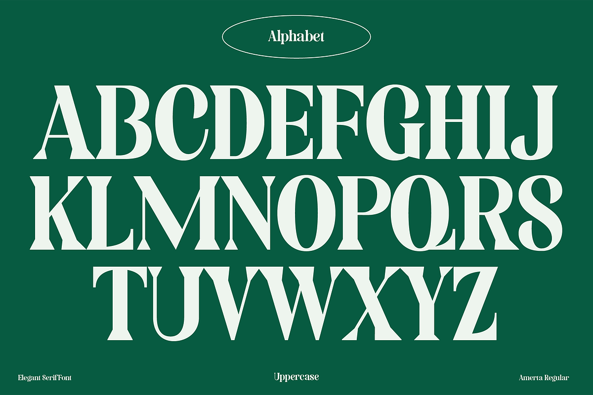 Amerta Elegant Serif Font, a Serif Font by GRVS Studio (Photo 2 of 7)